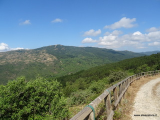 Alcantara alto